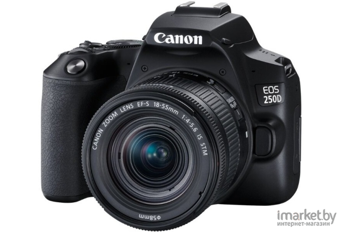 Фотоаппарат Canon EOS 250D Kit EF-S 18-55mm IS STM черный [3454C002]