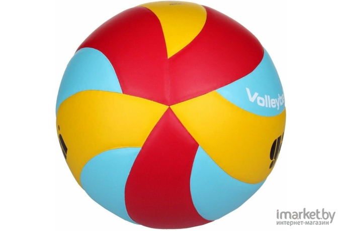 Волейбольный мяч Gala Training 10 230g [BV5651S]