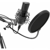 Микрофон Ritmix RDM-180 Black