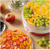 Сушилка для овощей и фруктов Sencor SFD 742RD