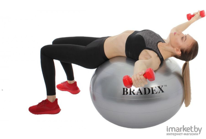 Гимнастический мяч Bradex Фитбол-55 [SF 0241]