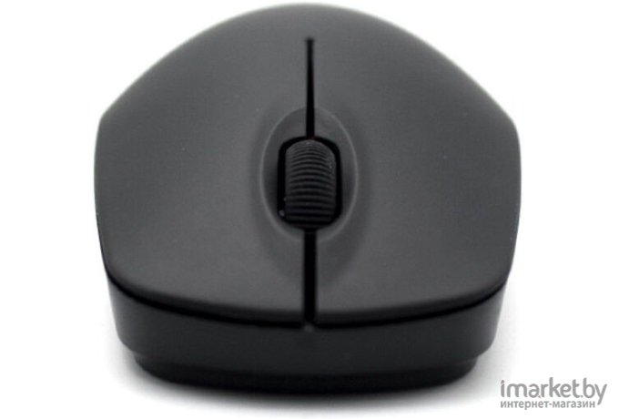 Мышь Ritmix RMW-506 Black