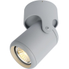Накладной светильник ARTE Lamp A3316PL-1GY