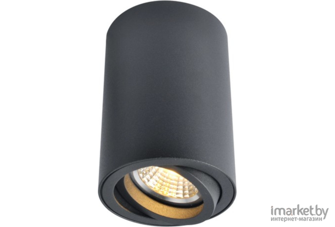 Накладной светильник ARTE Lamp A1560PL-1BK