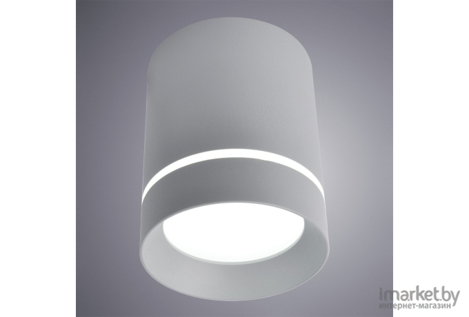 Накладной светильник ARTE Lamp A1909PL-1GY