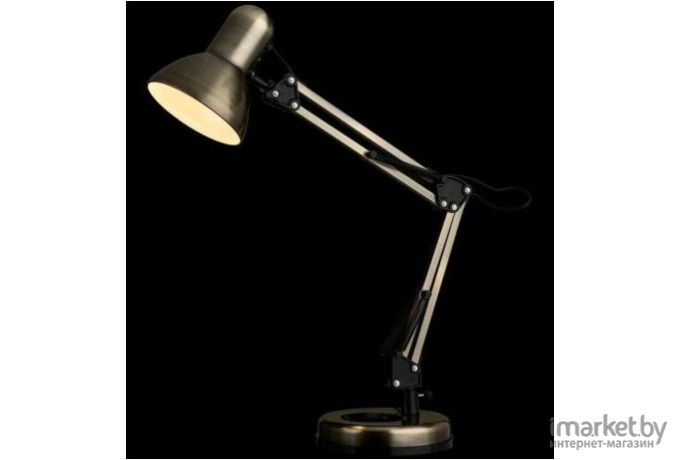  ARTE Lamp A1330LT-1AB