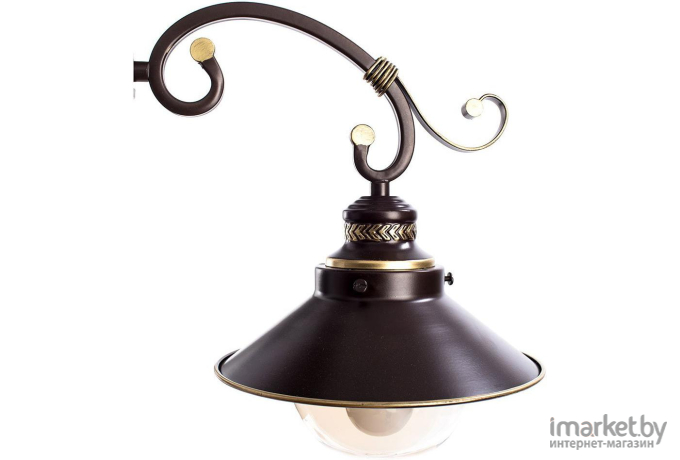  ARTE Lamp A4577PL-3CK