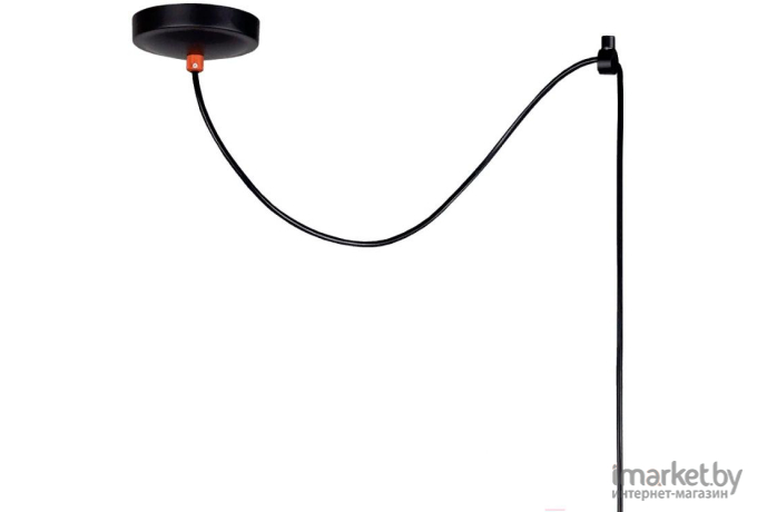 Потолочный подвесной светильник Favourite 2007-1P
