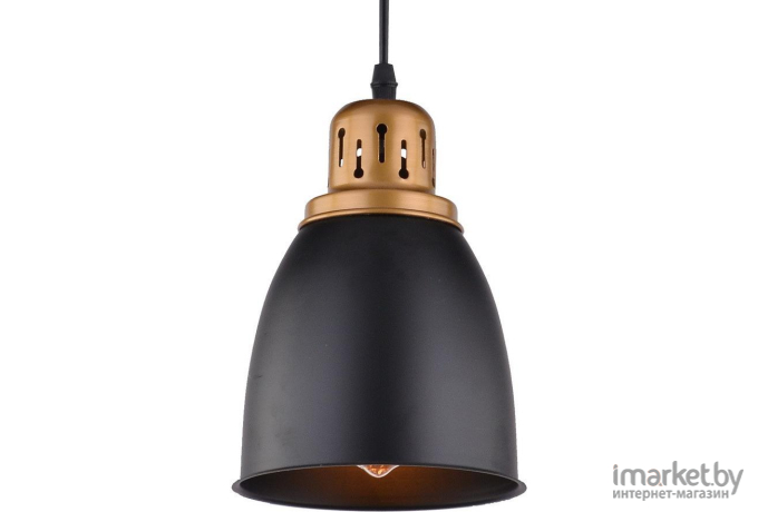 Потолочный подвесной светильник ARTE Lamp A4248SP-1BK