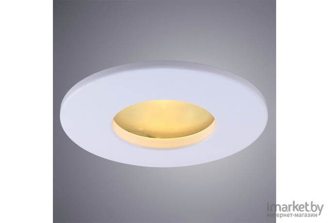 Влагозащищенный светильник ARTE Lamp A5440PL-1WH