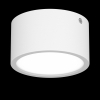 Влагозащищенный светильник Lightstar 211916 Светильник ZOLLA CYL LED-RD 10W 780LM БЕЛЫЙ 3000K IP44 (в комплекте), шт