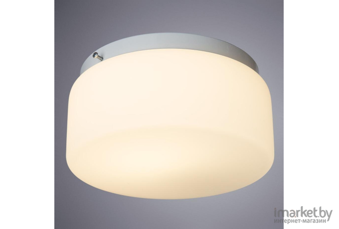 Потолочный светильник Arte Lamp A7720PL-1WH