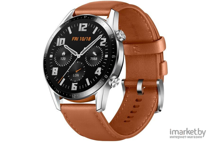 Умные часы Huawei Watch GT 2 LTN-B19 Pebble Brown