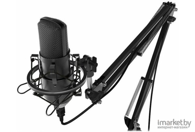 Микрофон Ritmix Микрофон Ritmix RDM-169 Black черный