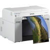 Принтер и МФУ Epson SureLab SL-D800