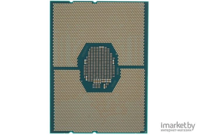 Процессор Intel Xeon 4214R [CD8069504343701 S RG1W]