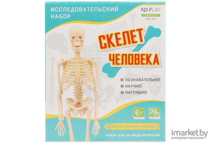 Детский набор для опытов ND Play Скелет человека [NDP-058]