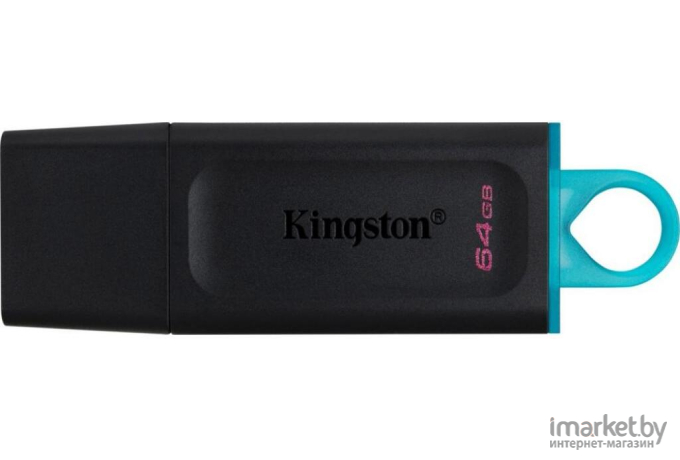 USB Flash Kingston DataTraveler Exodia 64GB (DTX/64GB)