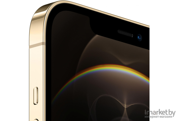 Мобильный телефон Apple iPhone 12 Pro Max 256GB золотой