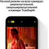 Мобильный телефон Apple iPhone 12 Pro Max 256GB золотой