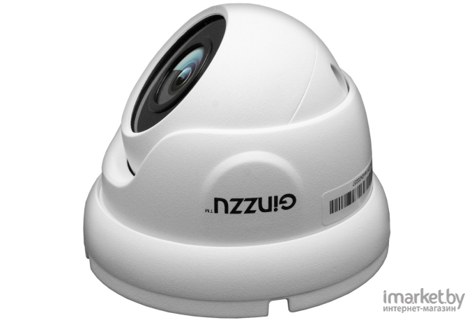 IP-камера Ginzzu HID-2302A