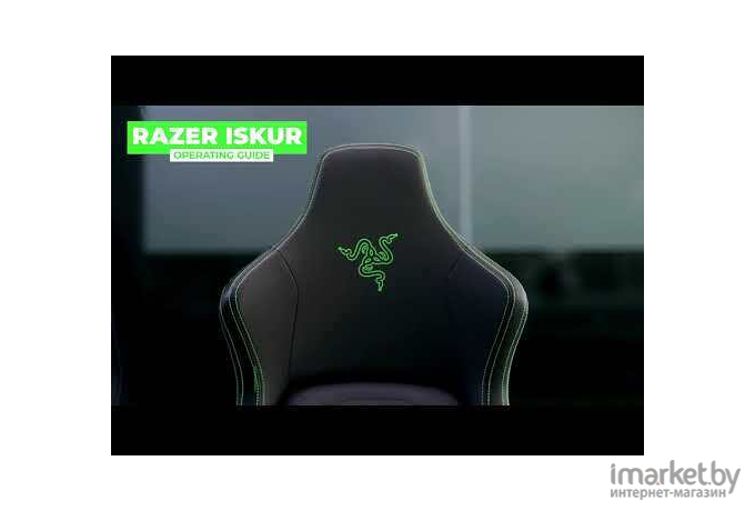 Офисное кресло Razer Iskur [RZ38-02770100-R3G1]