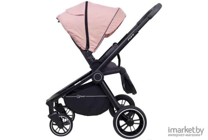 Детская коляска Rant FLEX 2 в 1 RA062 Cloud Pink [99000497]