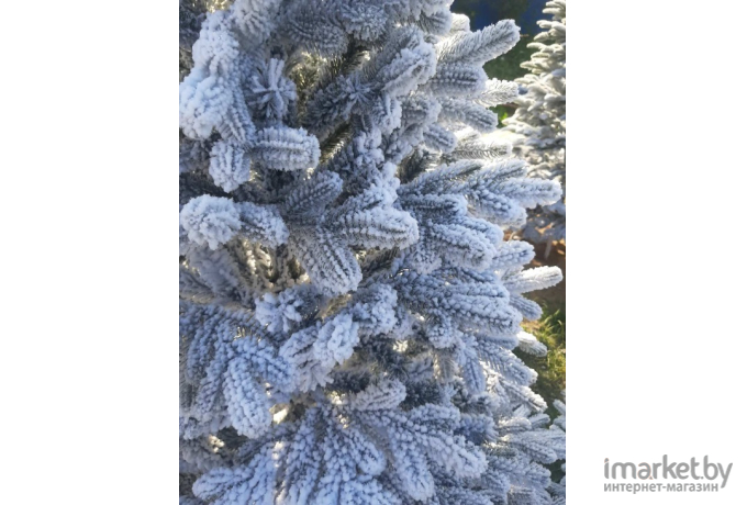 Новогодняя елка Maxy Poland Наоми заснеженная с литыми ветками 2.1 м