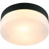 Накладной светильник Arte Lamp A6047PL-1BK