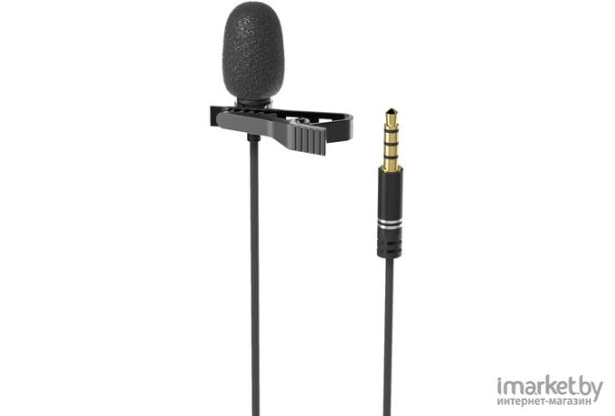 Микрофон Ritmix RCM-110 черный
