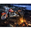 Алмазная живопись Darvish Мотоцикл в свете огня (DV-9513-78)