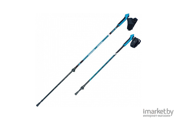 Палки для скандинавской ходьбы RGX NWS-116 синий