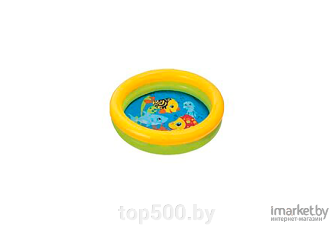 Надувной бассейн Intex My First Pool 59409 61х15
