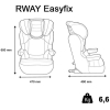 Детское автокресло NANIA RWAY EASYFIX Racing Luxe Ruby (7094030088)