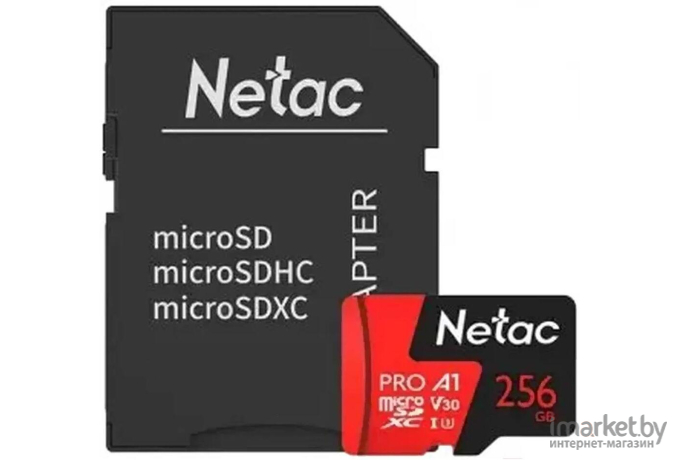 Карта памяти Netac NT02P500PRO-256G-R