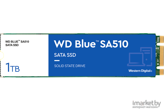 SSD-накопитель WD Blue SA510 500GB (WDS500G3B0B)