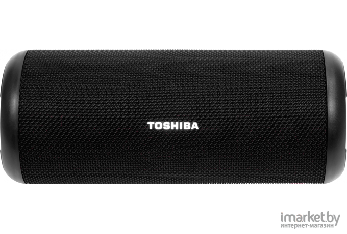 Портативная акустика Toshiba TY-WSP201