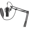 Микрофон Genesis Radium 300 XLR (NGM-1695)