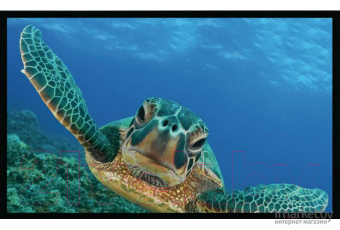 Проекционный экран Seemax Plain PM 304,8 x 190,5 см (FP136WPM)