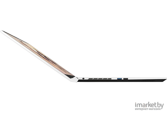 Ноутбук MSI Sword 17 A12UD-248XRU Core i5 белый (9S7-17L423-248)