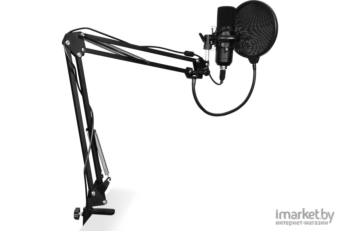 Микрофон проводной SunWind SW-SM400G черный (1427268)