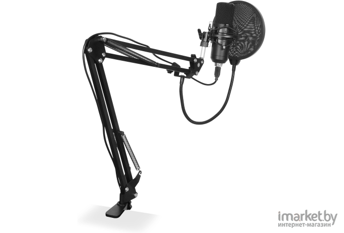 Микрофон проводной SunWind SW-SM400G черный (1427268)