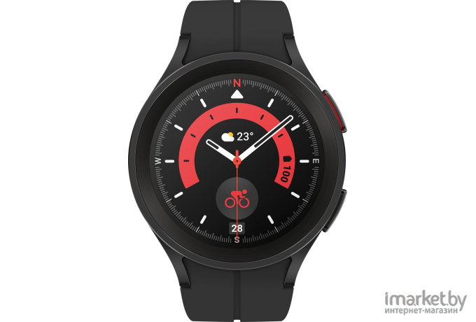 Умные часы Samsung Galaxy Watch 5 Pro 45 mm черный (SM-R920NZKACIS)