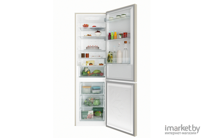 Холодильник Candy CCRN 6200C (34005351)