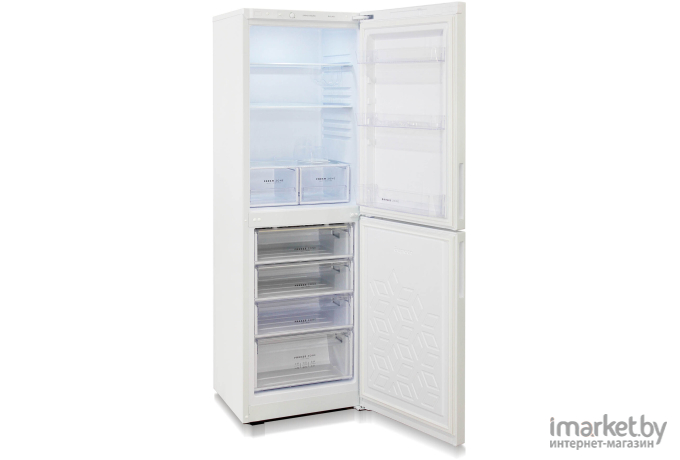 Холодильник Бирюса 6031 345 л (белый)