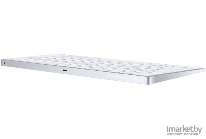 Клавиатура Apple Magic Keyboard [MLA22RU/A]