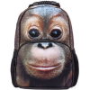 Рюкзак Hatber HD Orangutan [NR_00064]